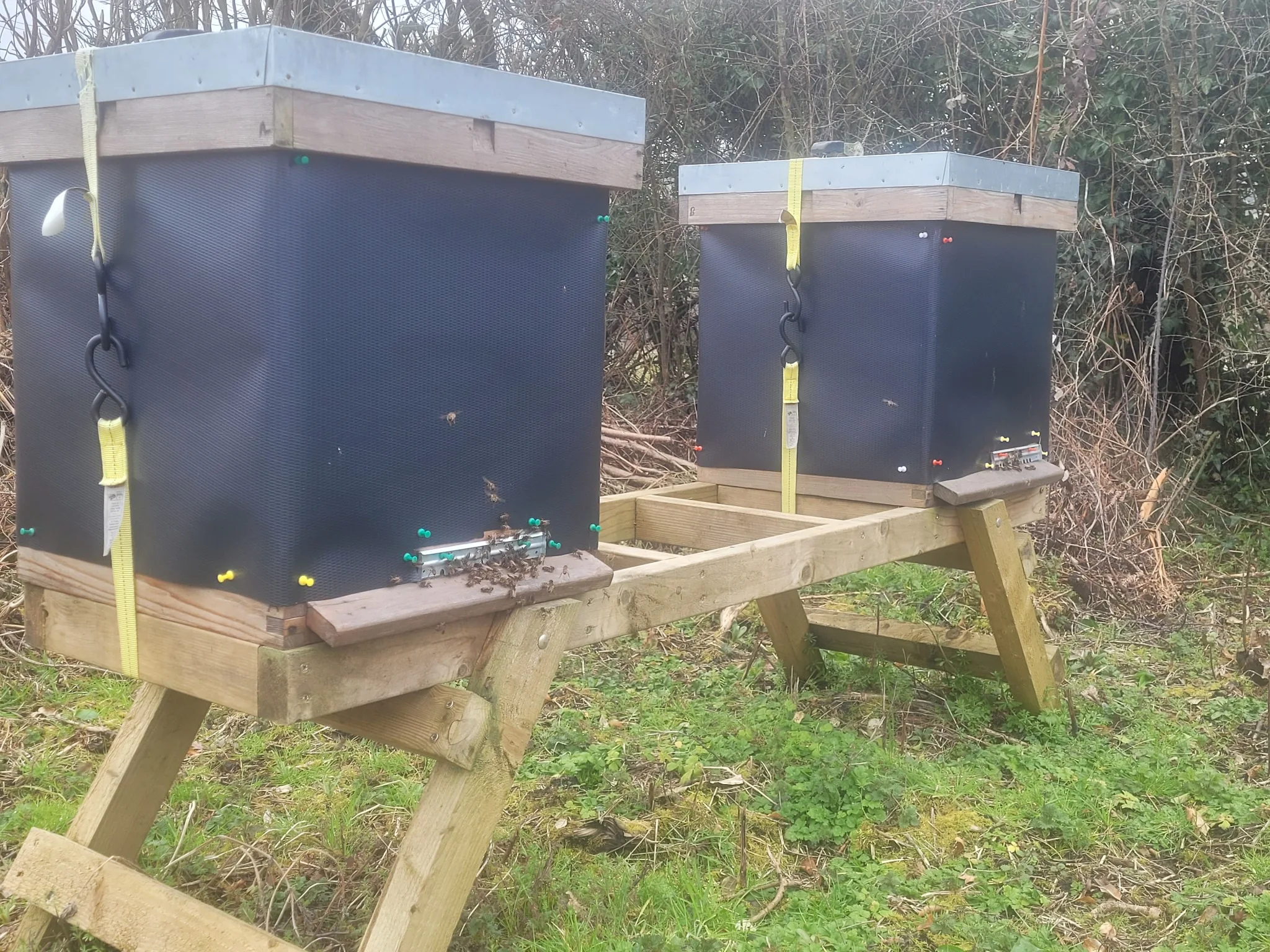 My wooden beehives wrapped externally in black DPC-type material for winter