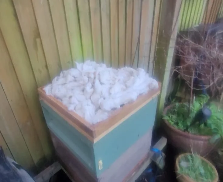 My wool-like beehive insulation packed into the wooden eke above the crown board