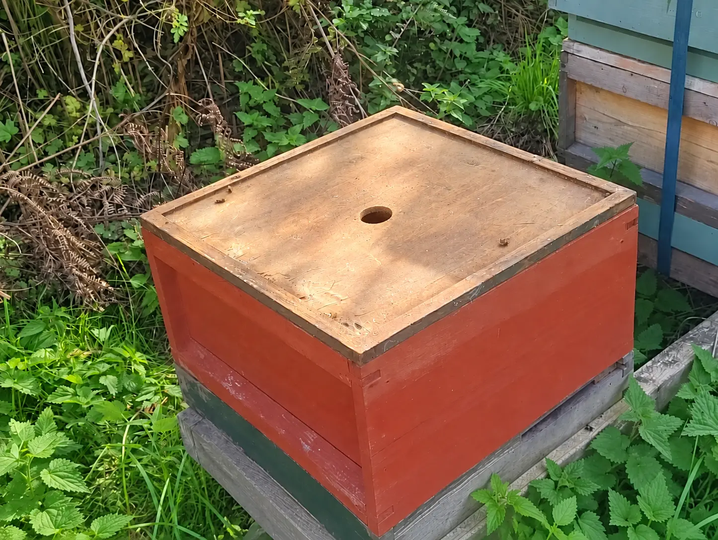 Wooden British National crown board with a central feeding hole on an apiary workbench