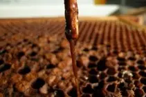 American foulbrood ropy larval remains during inspection