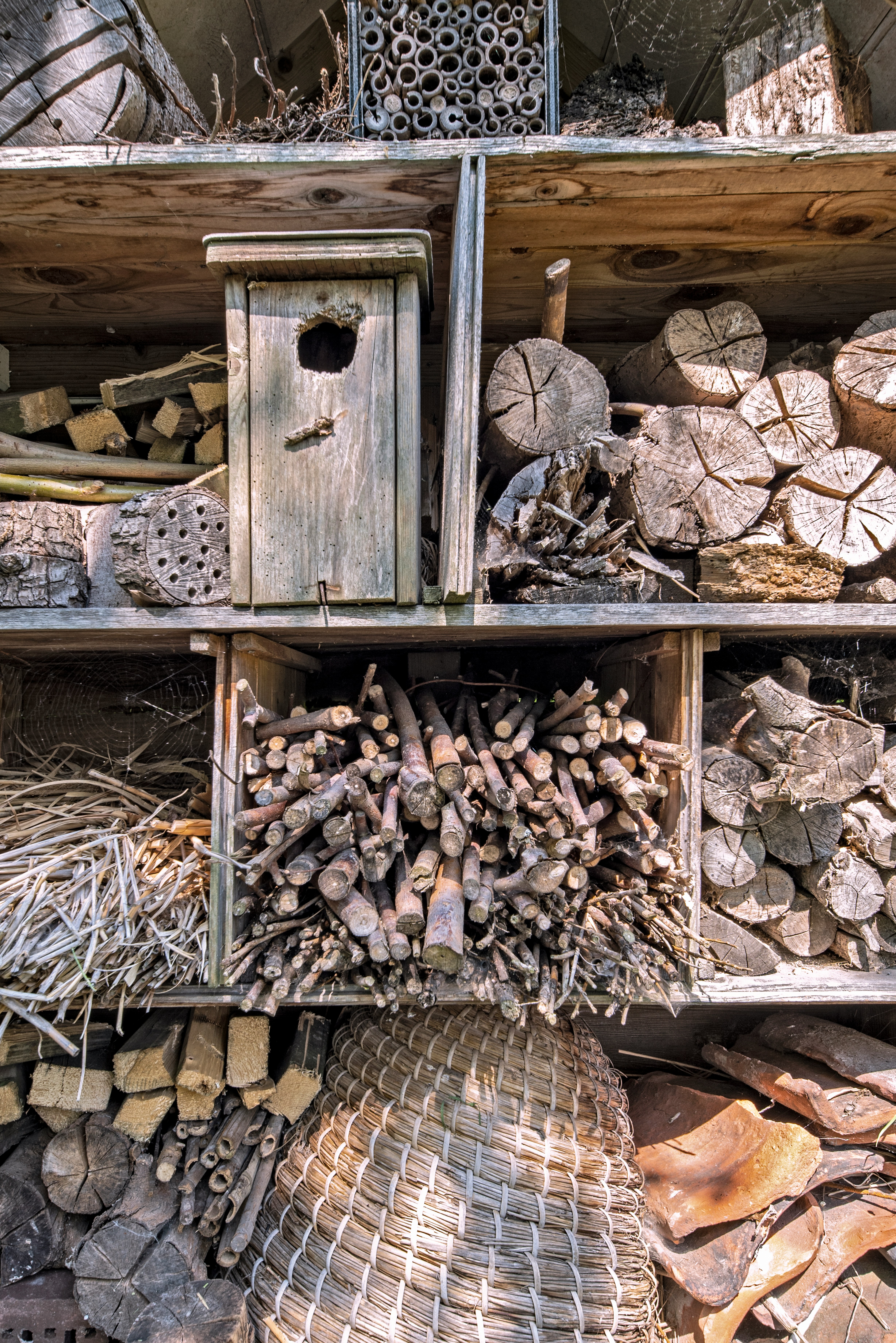 Typical Bee Hotel