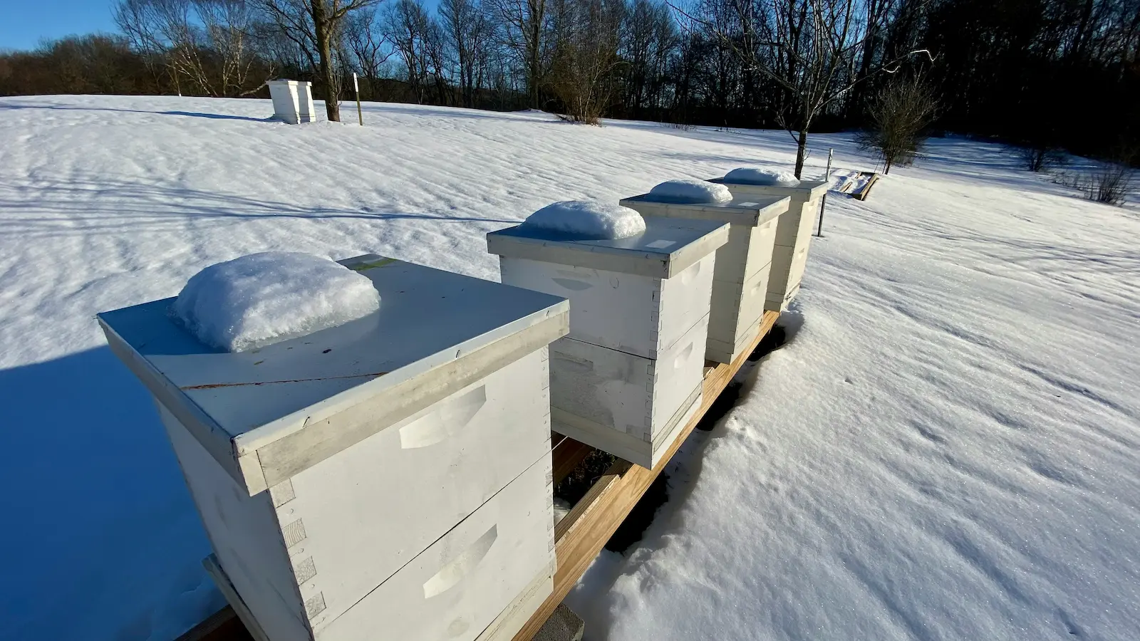 Beehives covered in snow in a quiet winter apiary