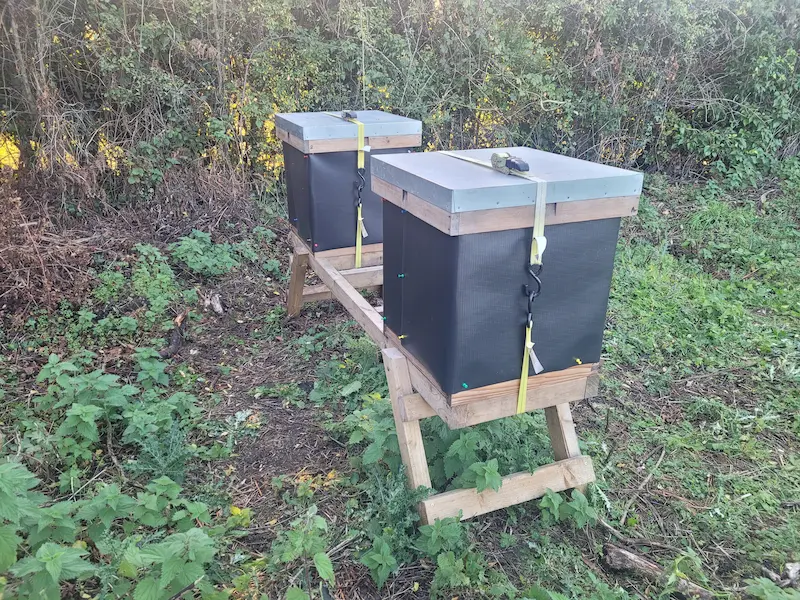 Beehives covered for warmth a UK winter apiary