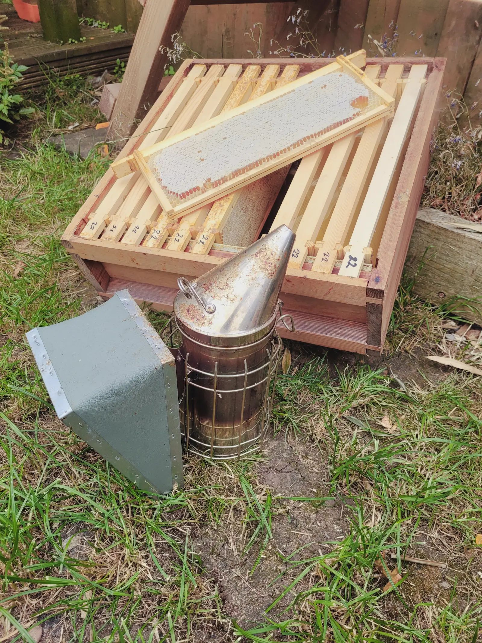 Selection of beekeeping equipment including hive tools, smoker and bee suit laid out for use