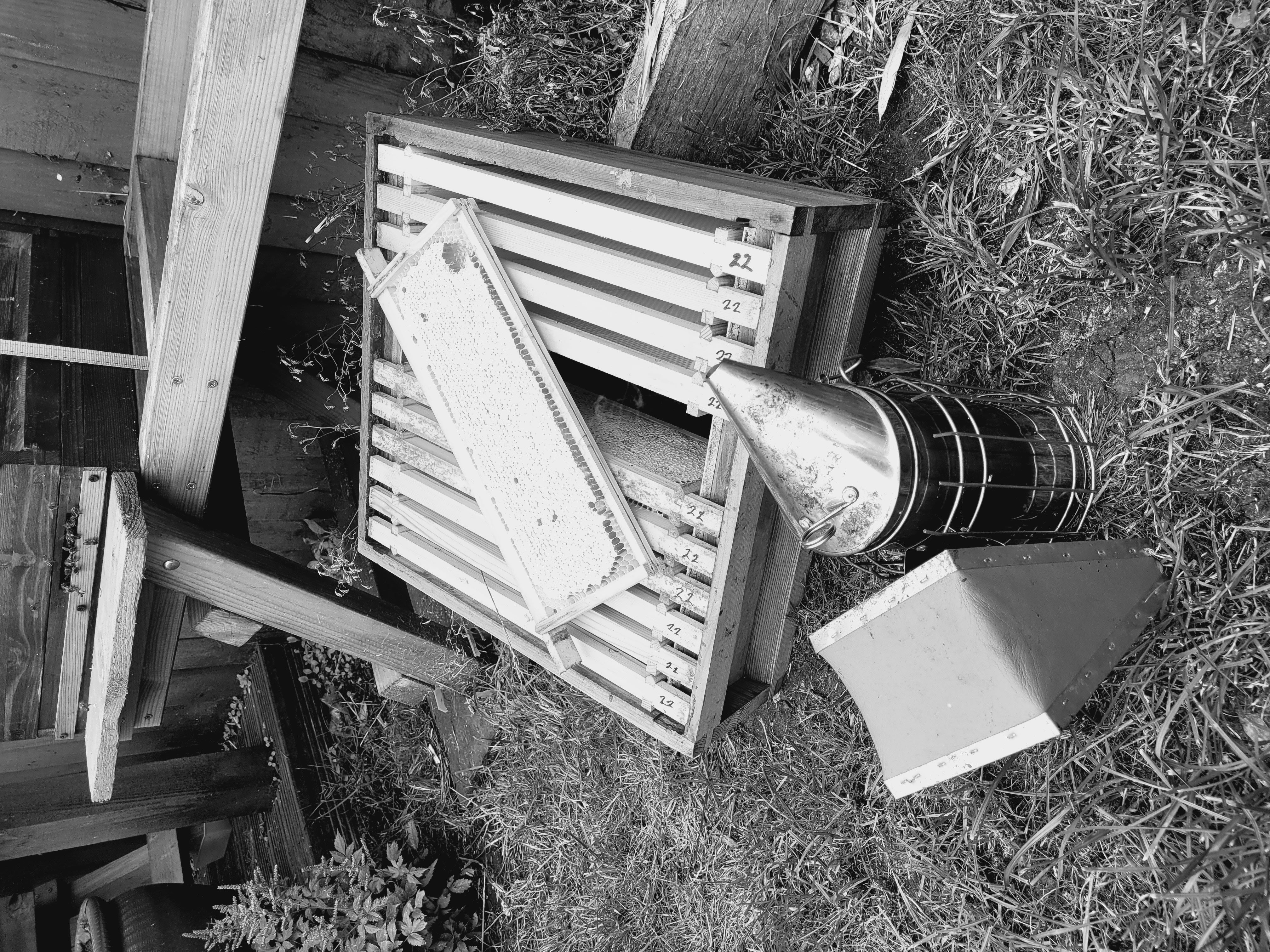 Picture of Some Equpment for Beekeeping