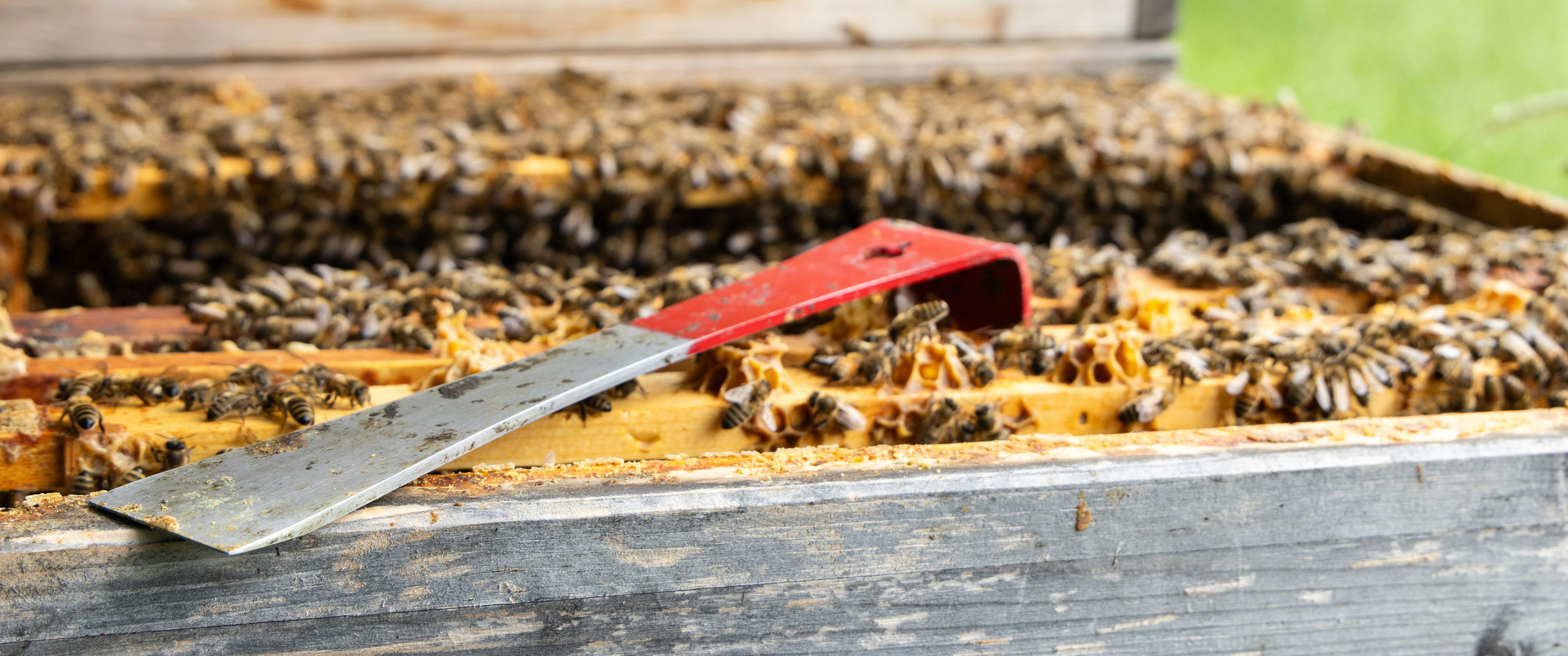 Picture of a Hive Tool