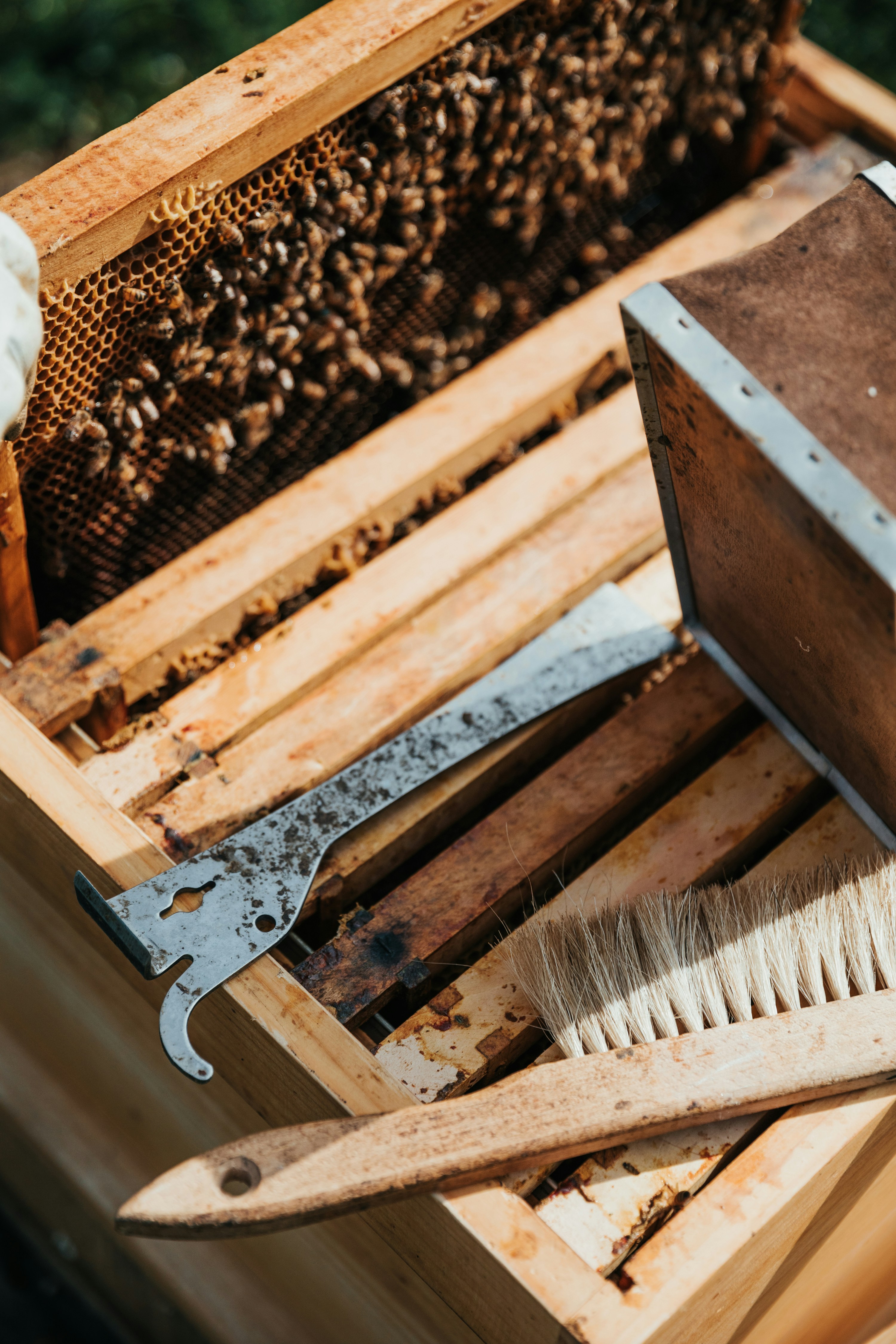 Picture of a broodbox, hive tool, bee brush and smoker