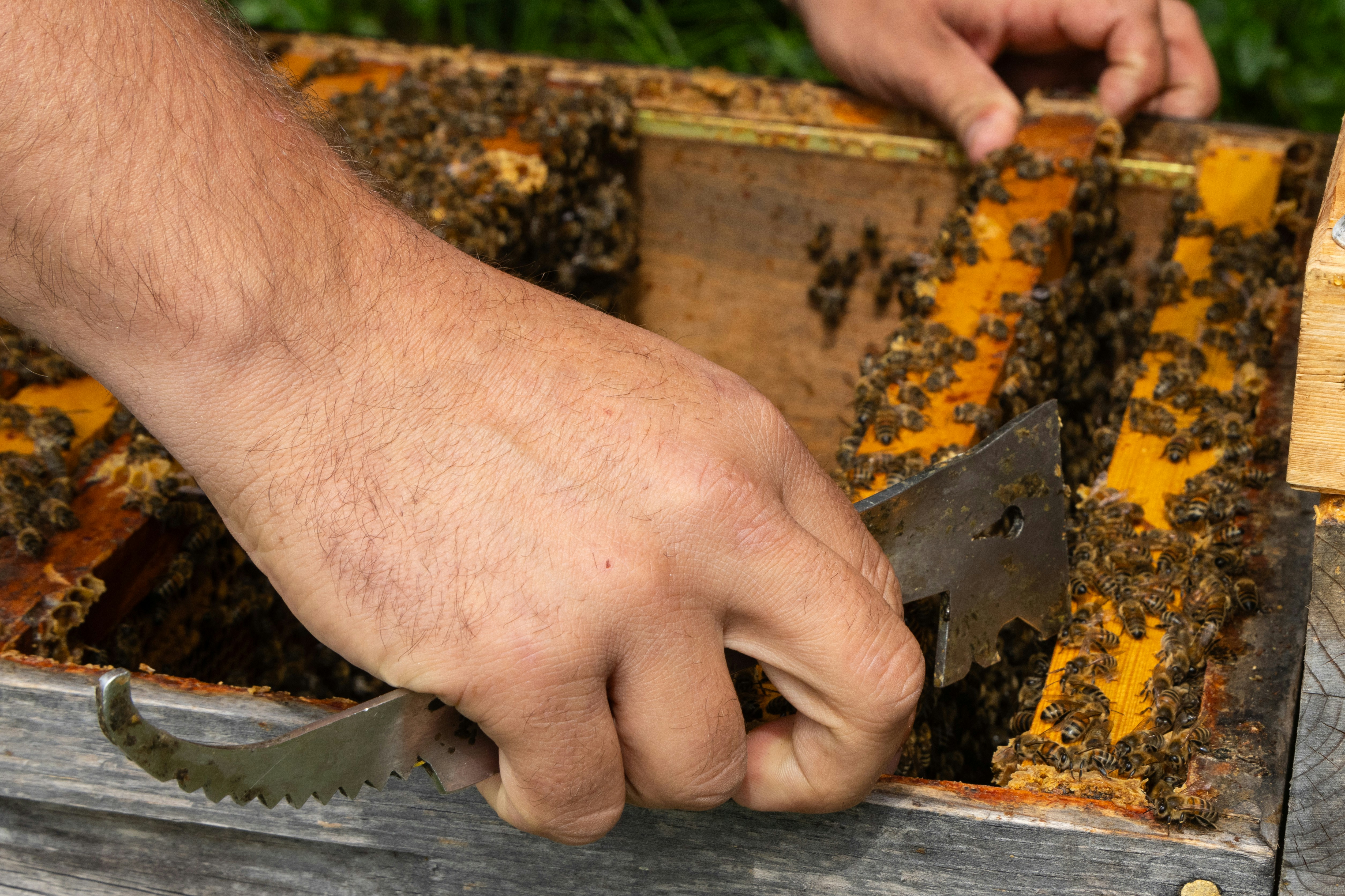 Inside the Hive