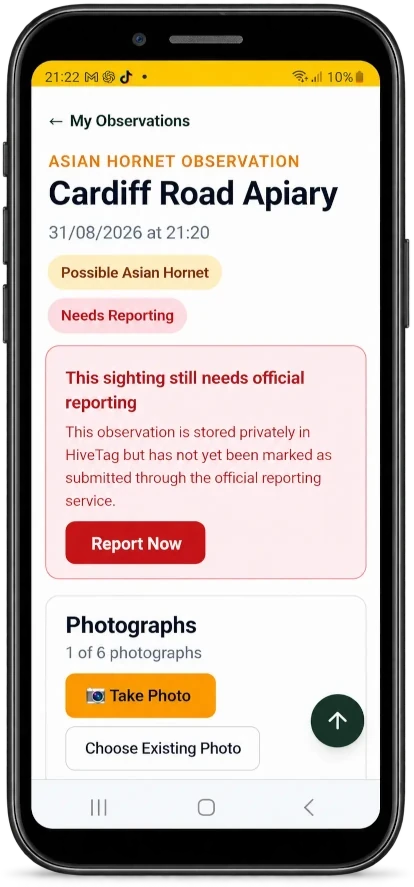 HiveTag Asian Hornet observation screen showing a possible Asian Hornet sighting, reporting reminder and photograph options