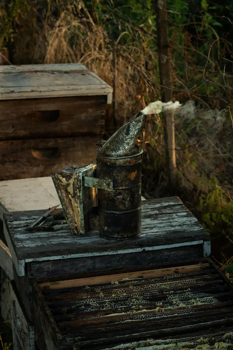 Beekeeping equipment including bee suit, smoker, hive tool and frames