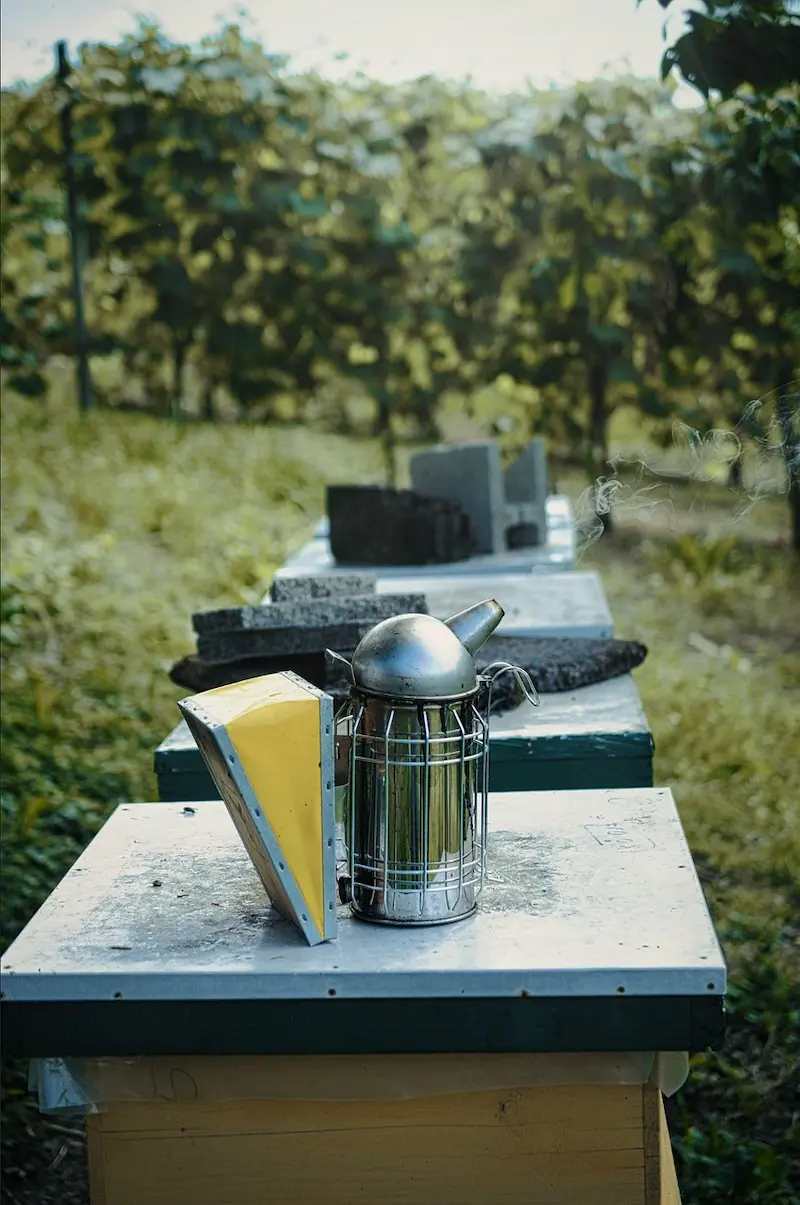 Smoker ready for use beside a hive during a May inspection