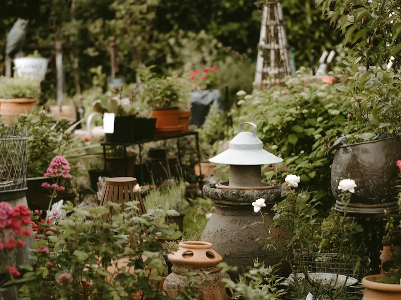 wildlife corner with seed heads and grasses left for insects