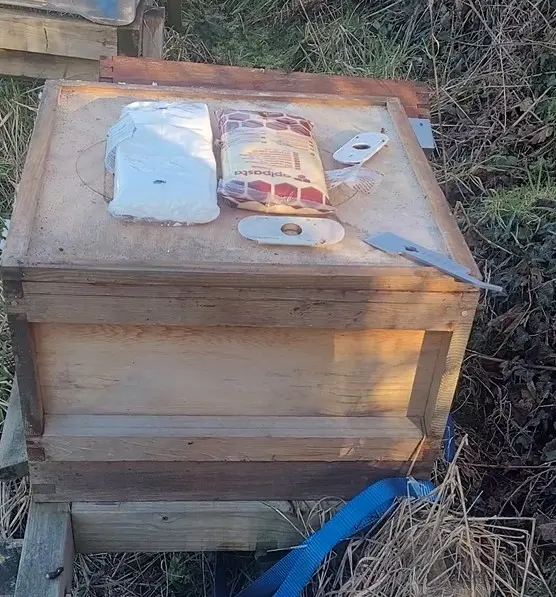 Fondant placed above a bee cluster during winter feeding